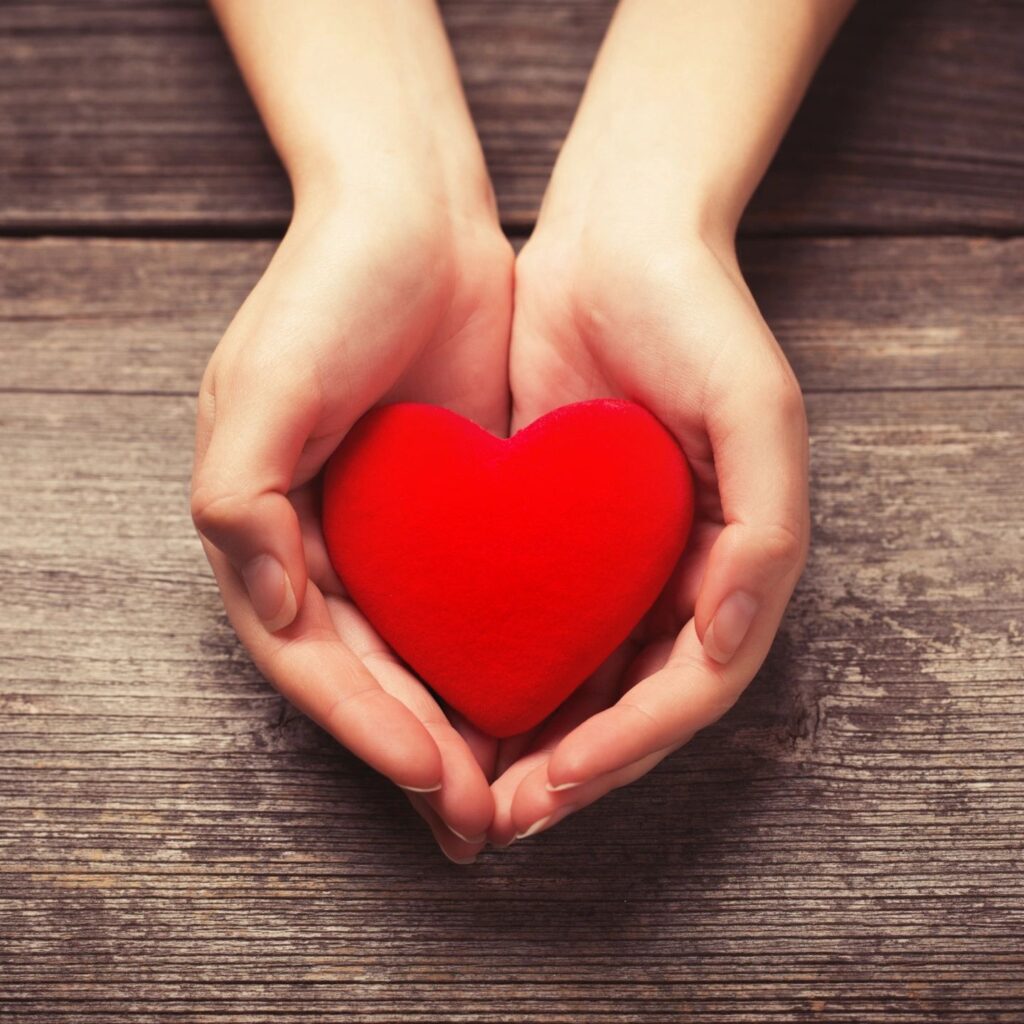 two hands holding a red heart. 