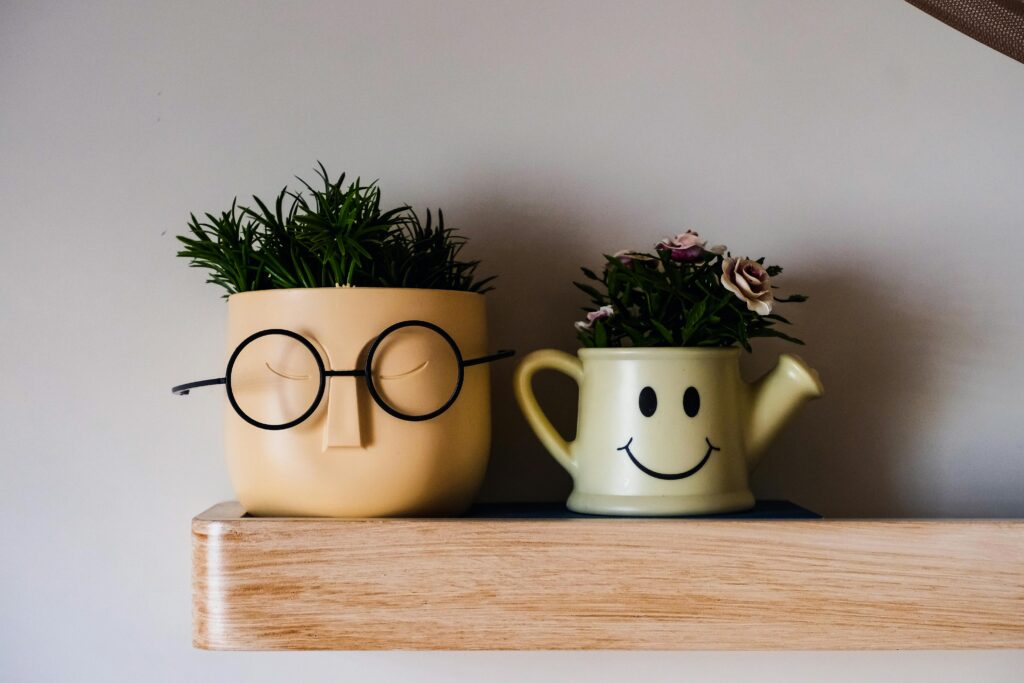 two plant pots on a shelf with face son the ceramic