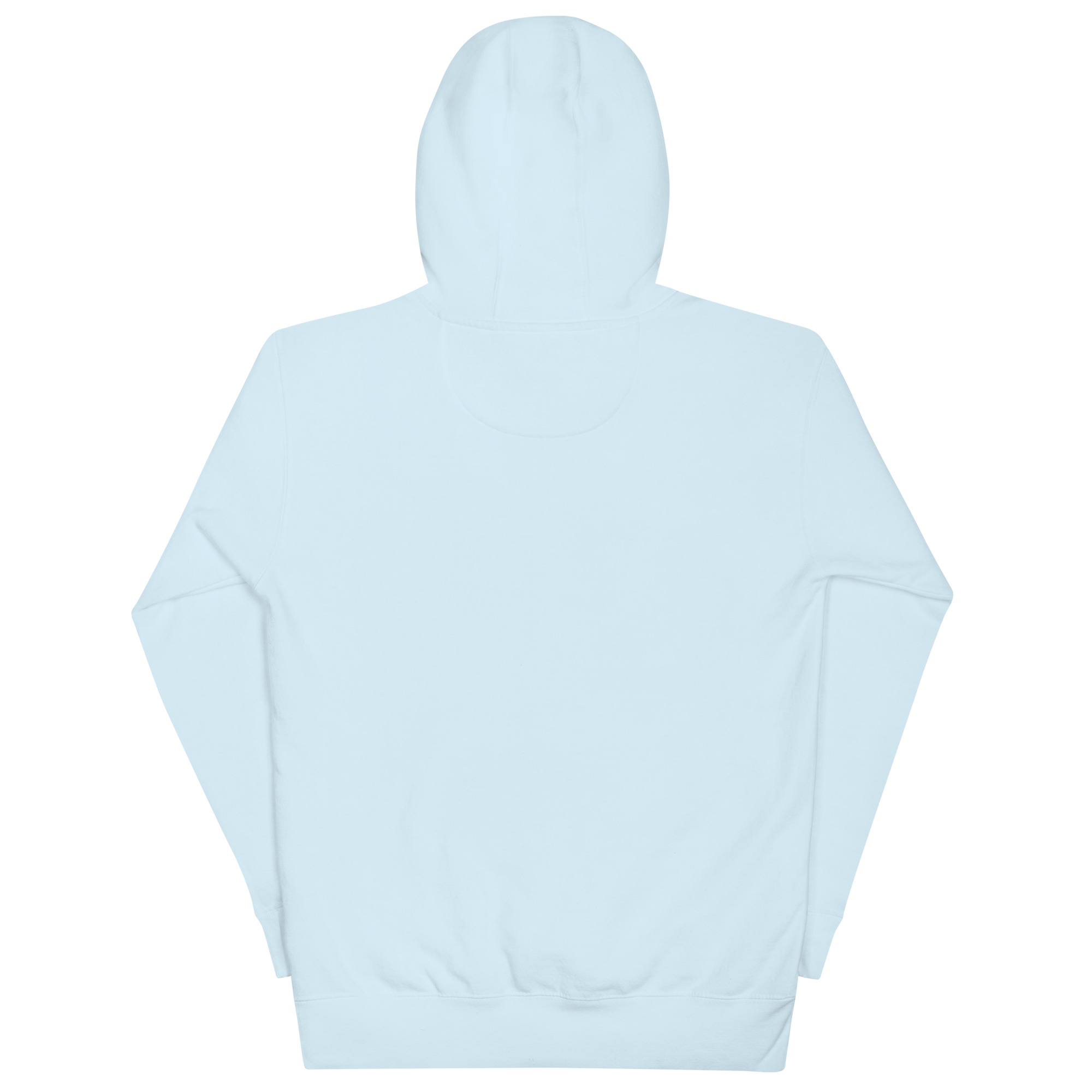unisex-premium-pullover-hoodie-sky-blue-back-6a213ee3a40dd.jpg